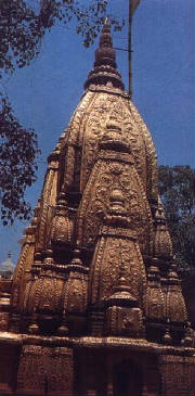 vishwa.jpg